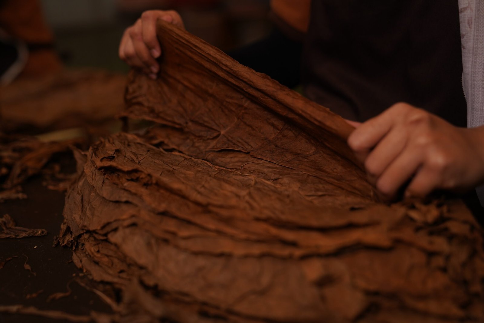 Tobacco leaf resting and fermentation