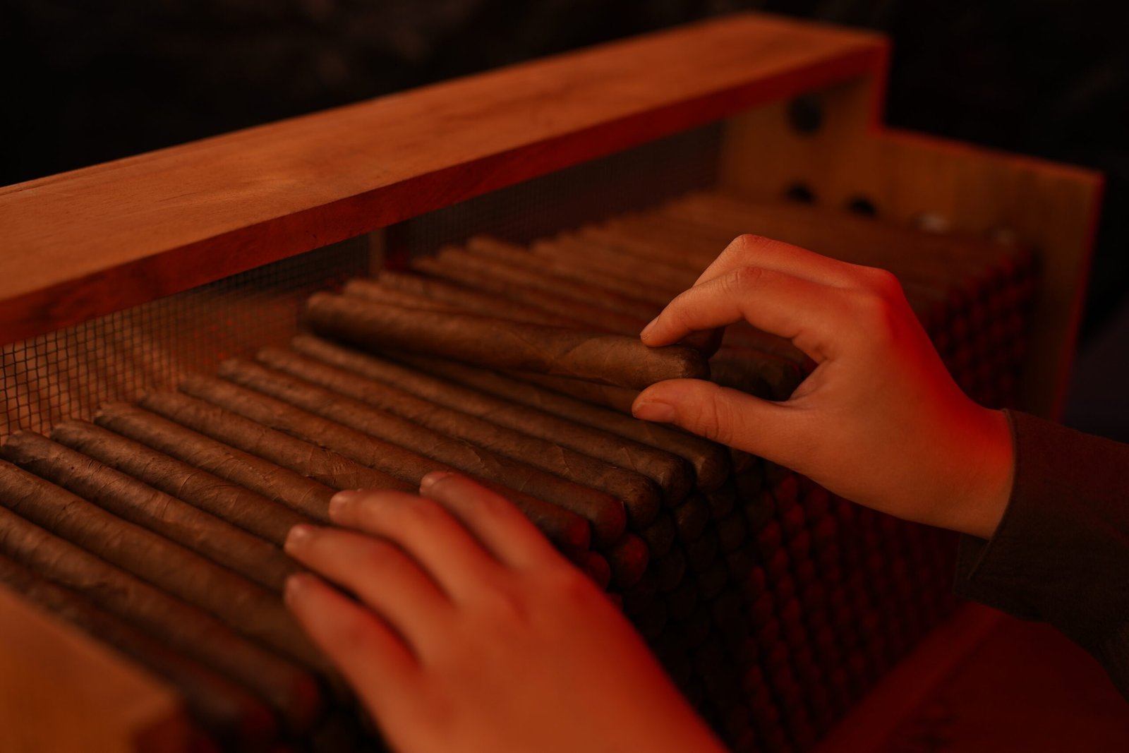 Dos Hermanos cigars stored under controlled conditions