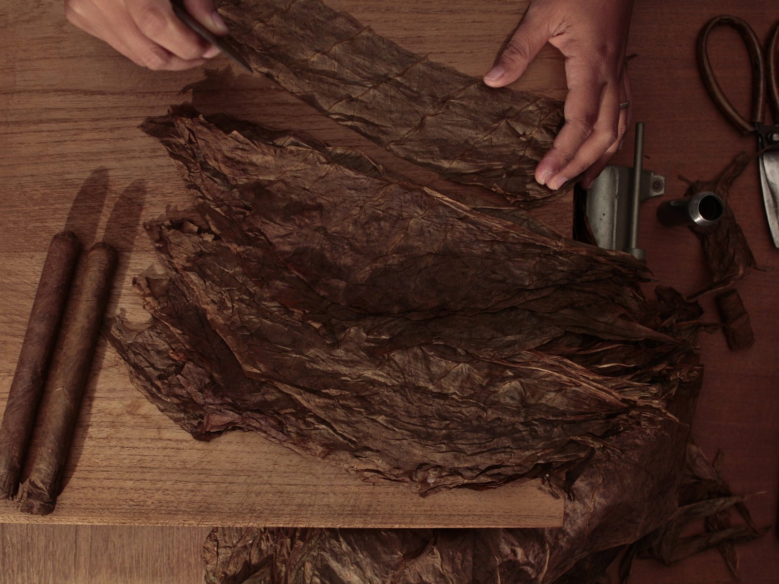 Dos Hermanos cigar being hand-rolled
